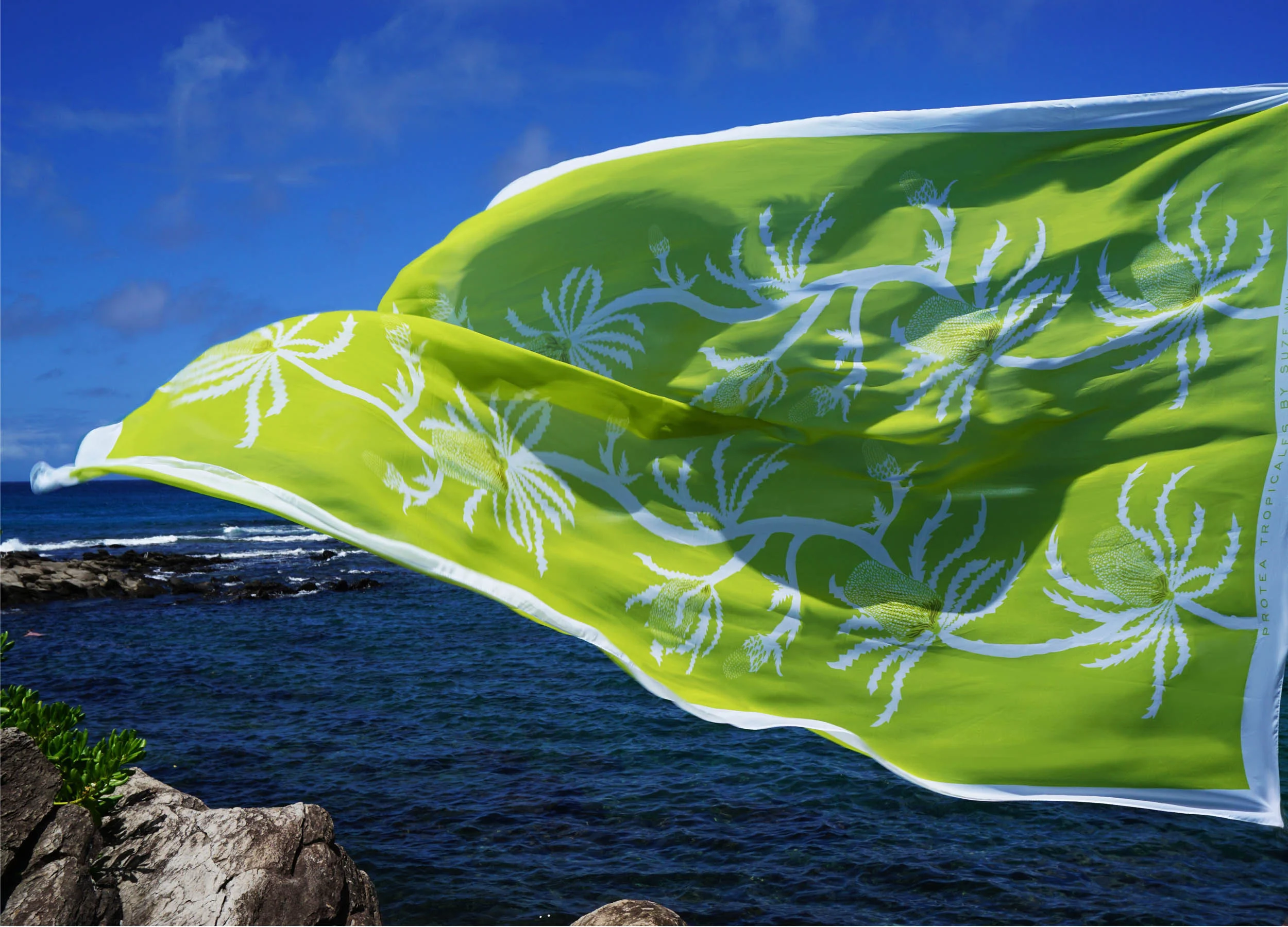 greenprotea#1.jpg
