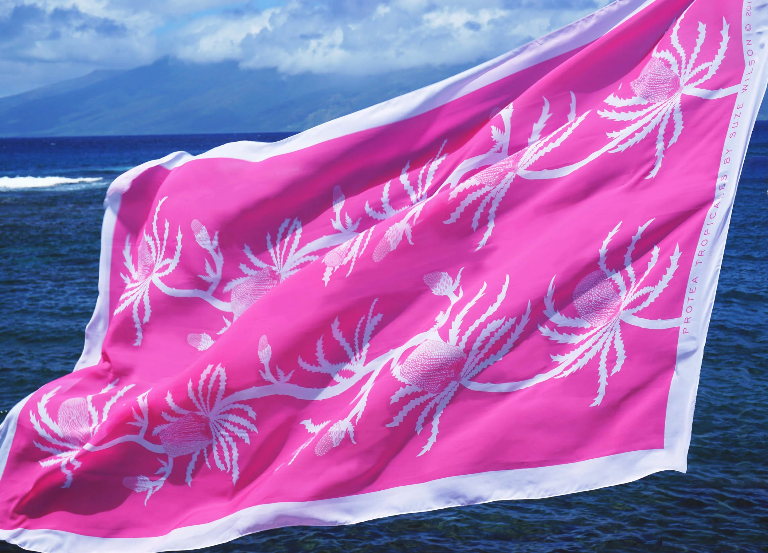 pinkprotea#1.jpg