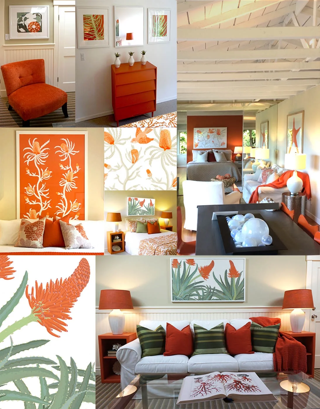 Succulent Color Prints