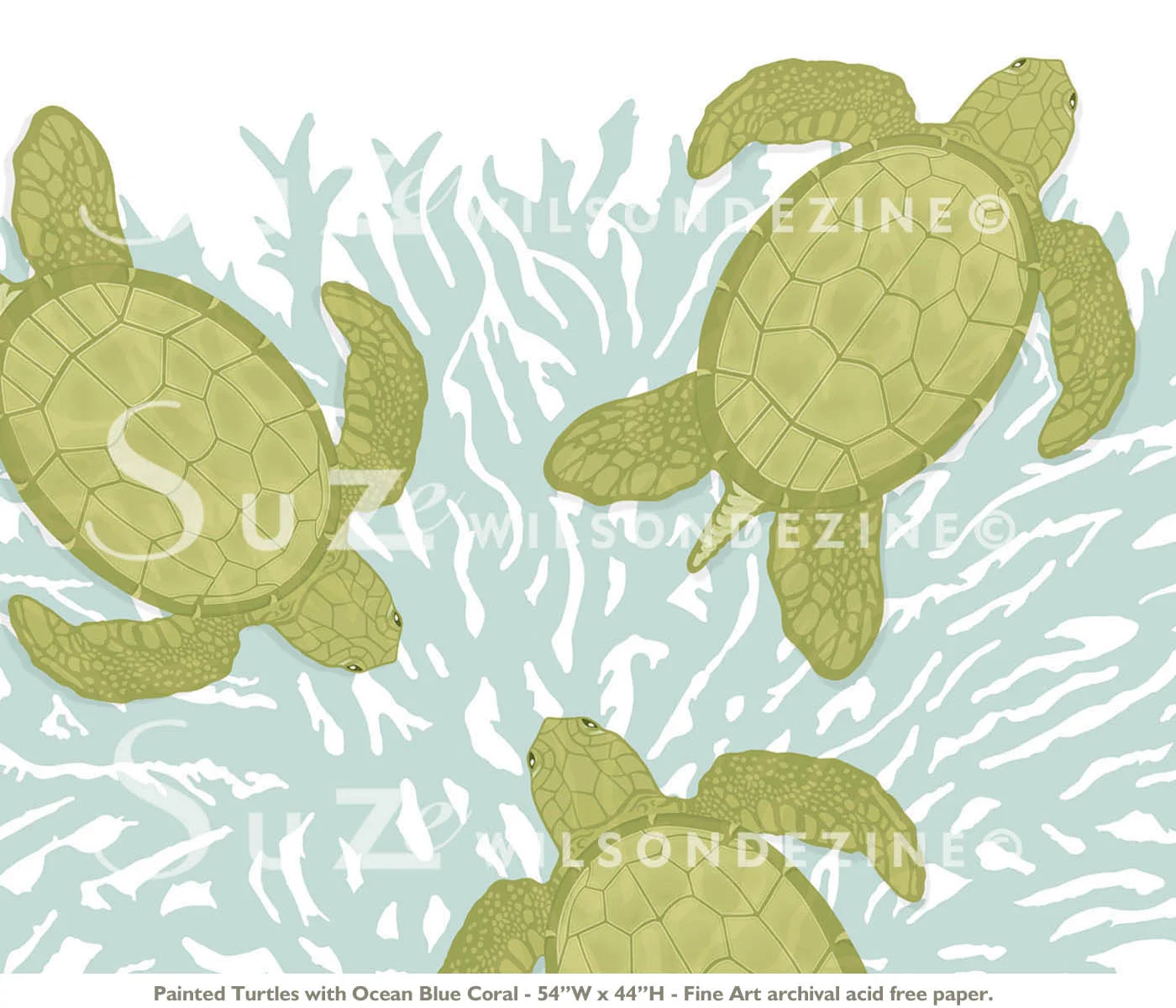 seaturtles3 copy.jpg