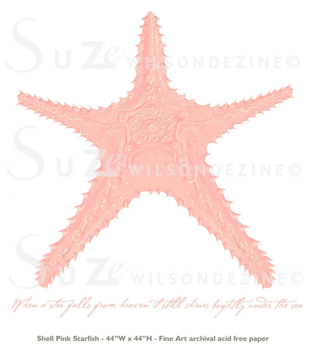 shellpnkstar3.jpg