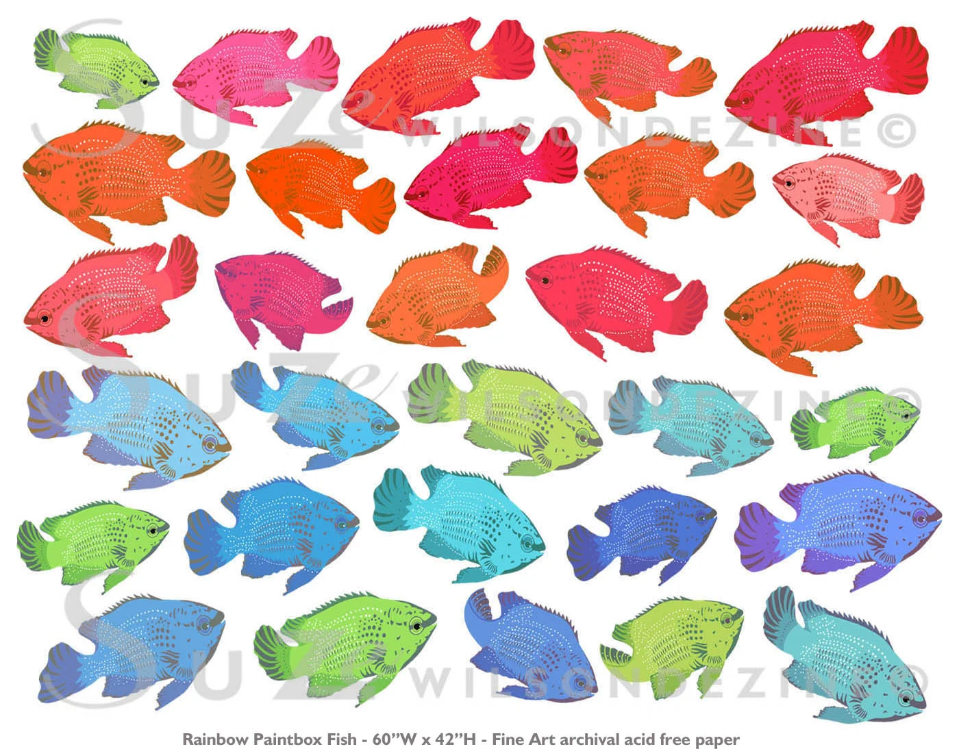 Rainbow Fish3 copy.jpg