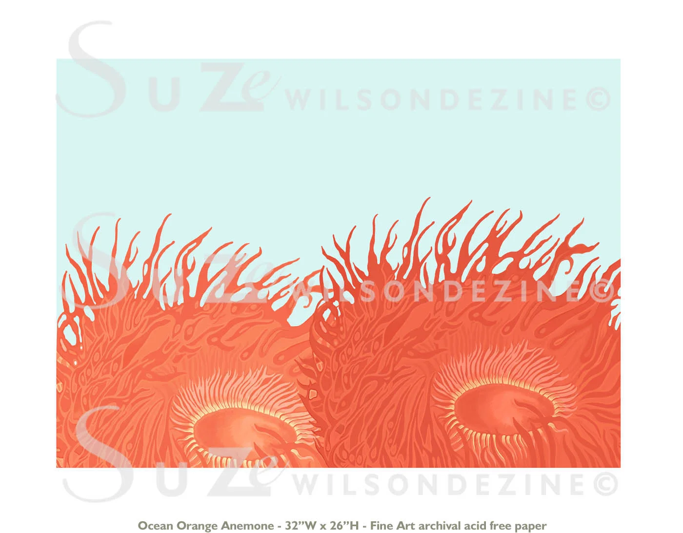 oceanorangeane3.jpg