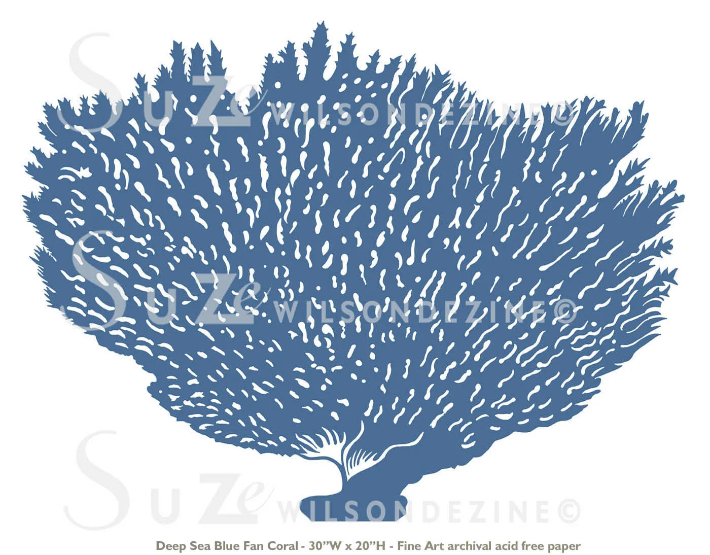 DSBFanCoral3.jpg
