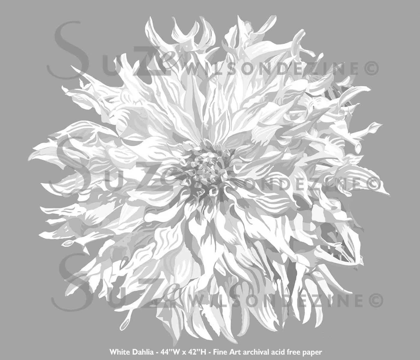 white dahlia.jpg
