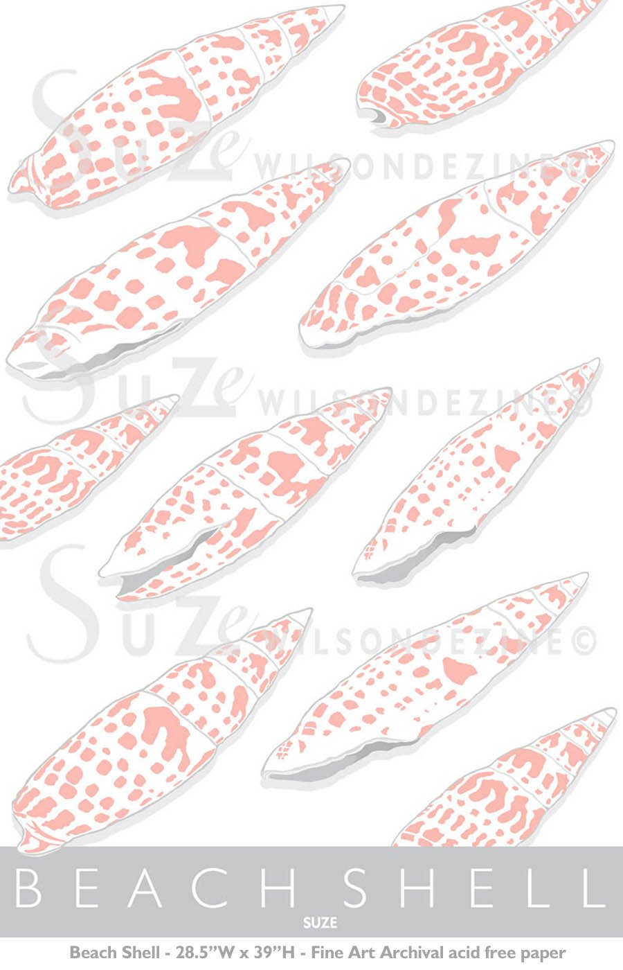 Beach Shell.jpg