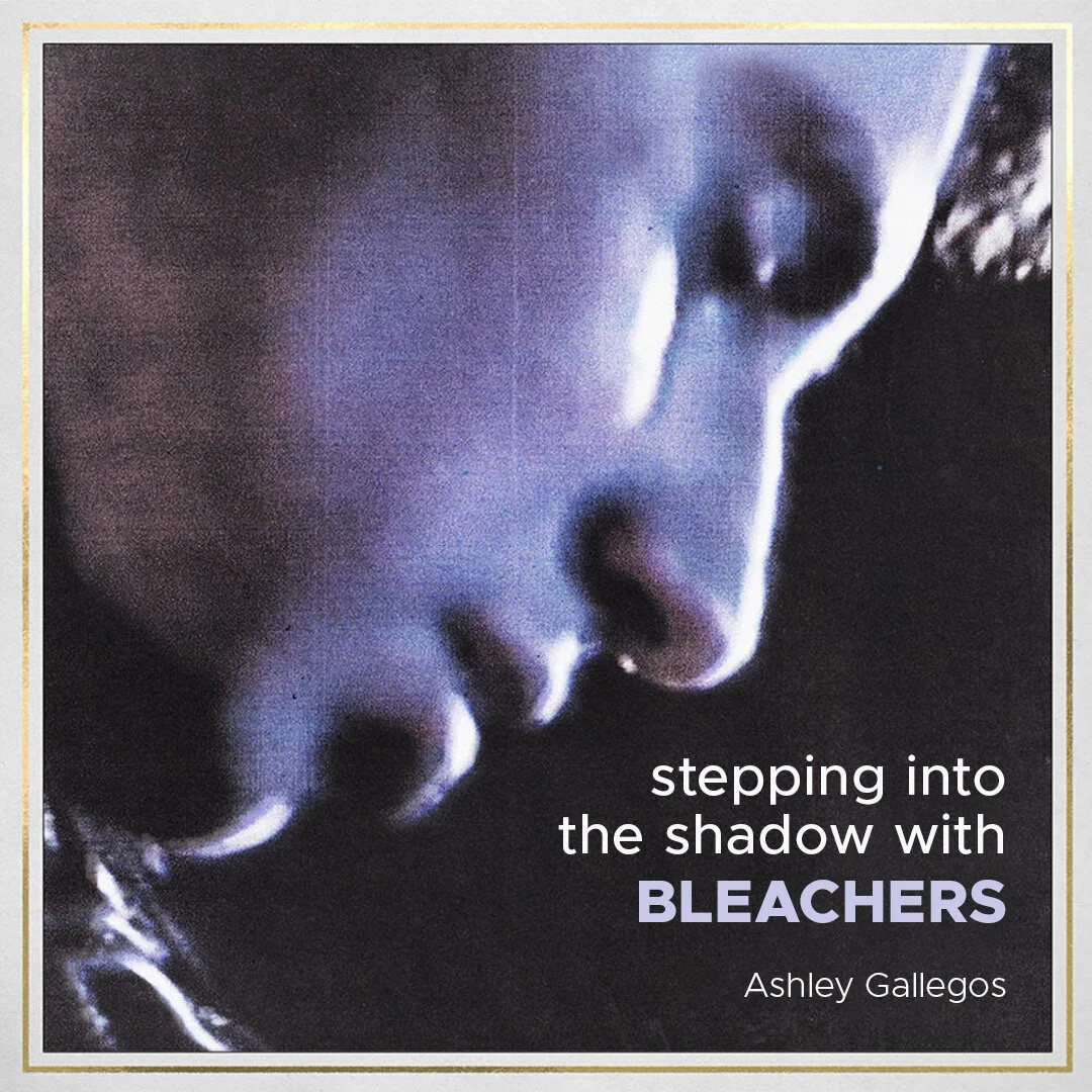 Stepping Into the Shadow with Bleachers