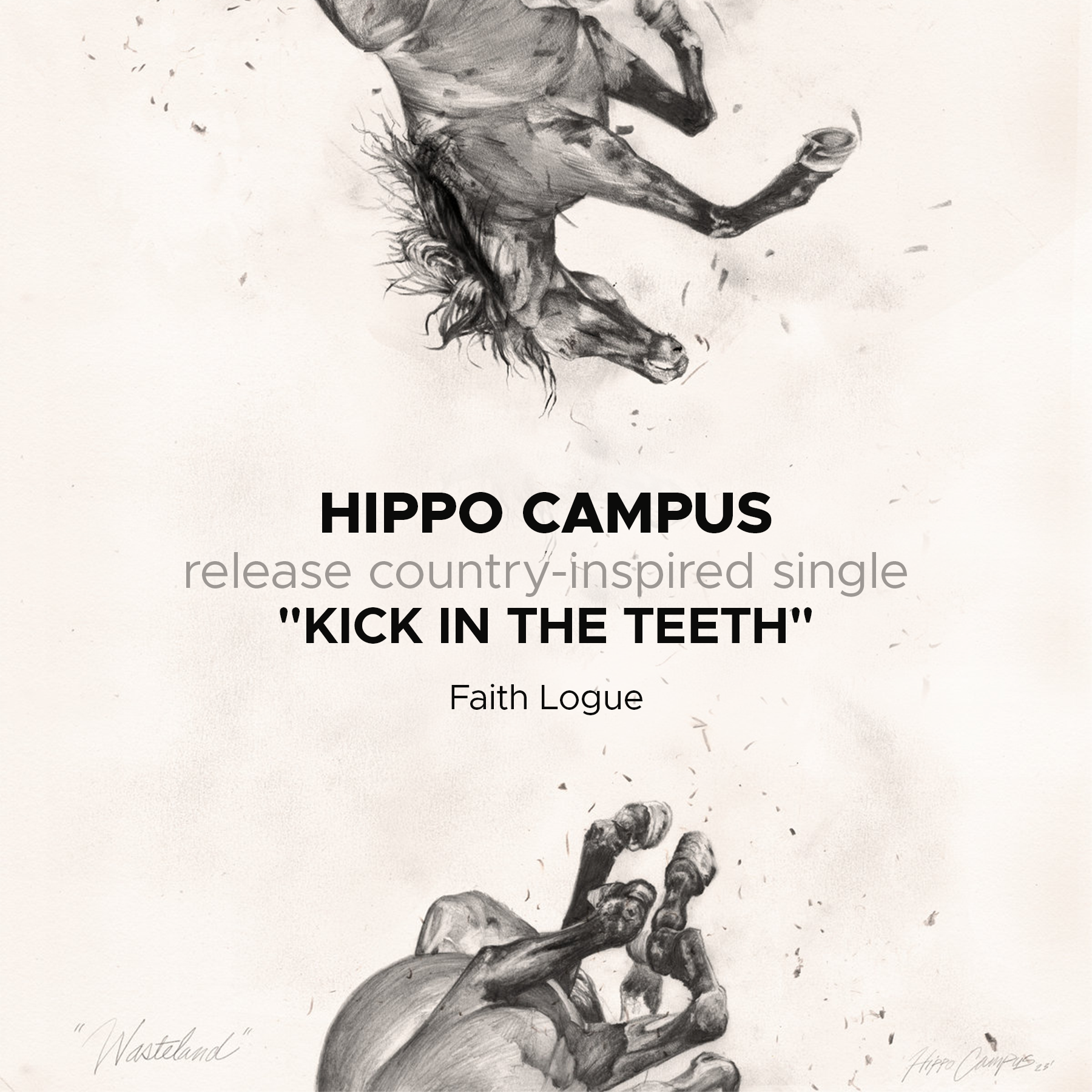 Hippo Campus Release Country-Inspired Single "Kick in the Teeth"