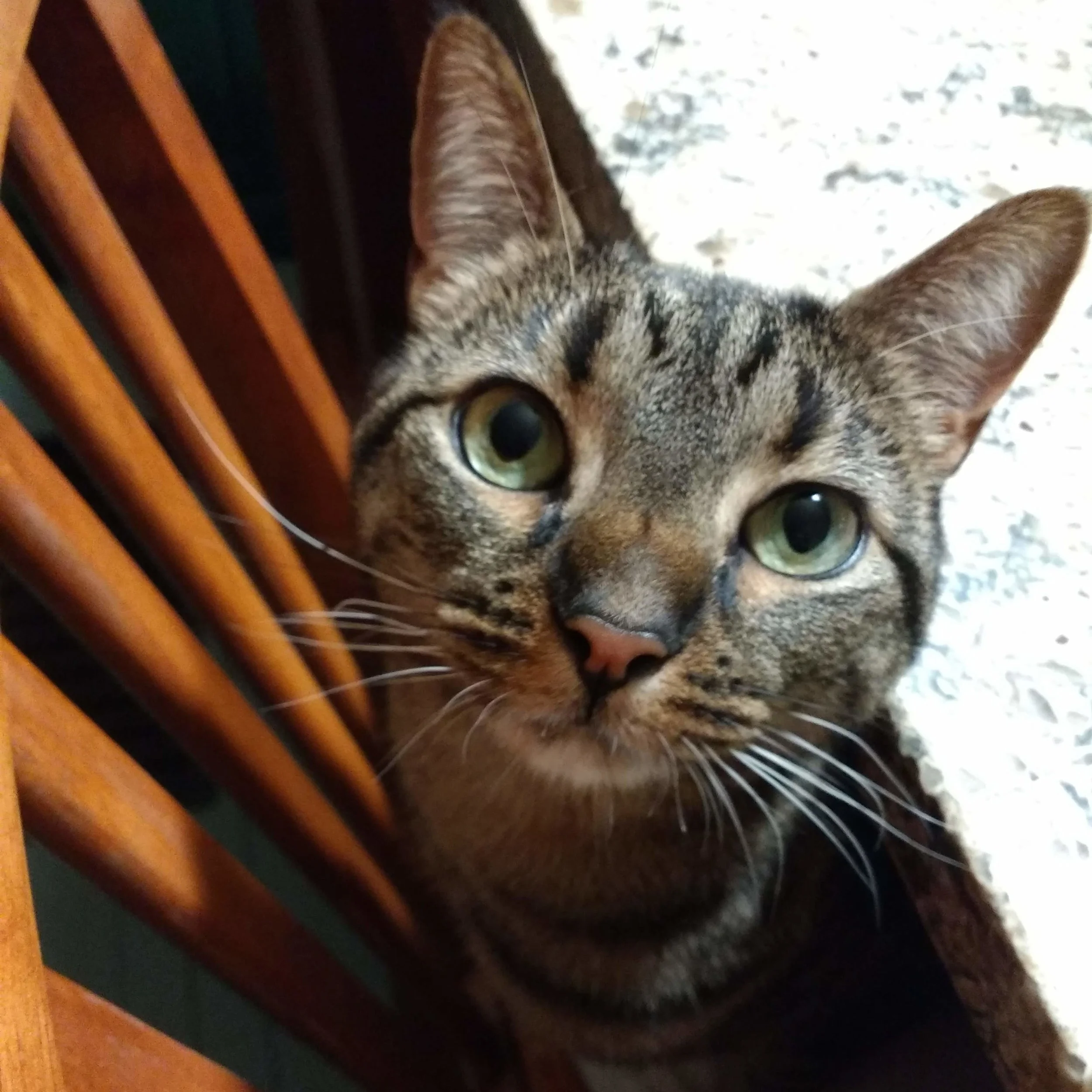 Hey there!