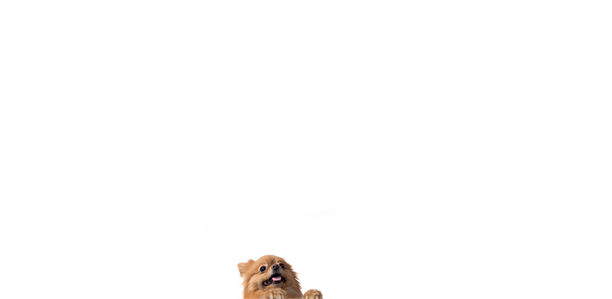 Lookup_Image30.png