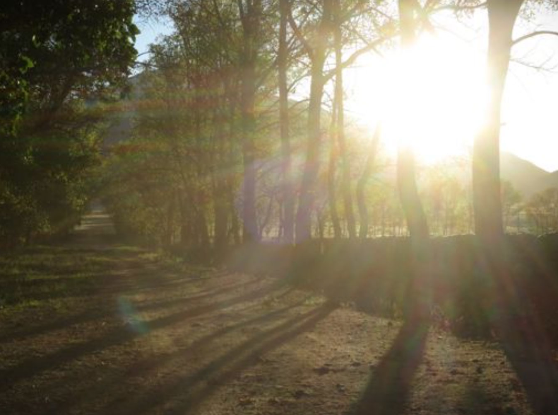 The sun strikes through the corta in the morning.