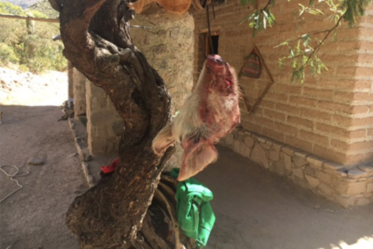 Pork is also on the menu.