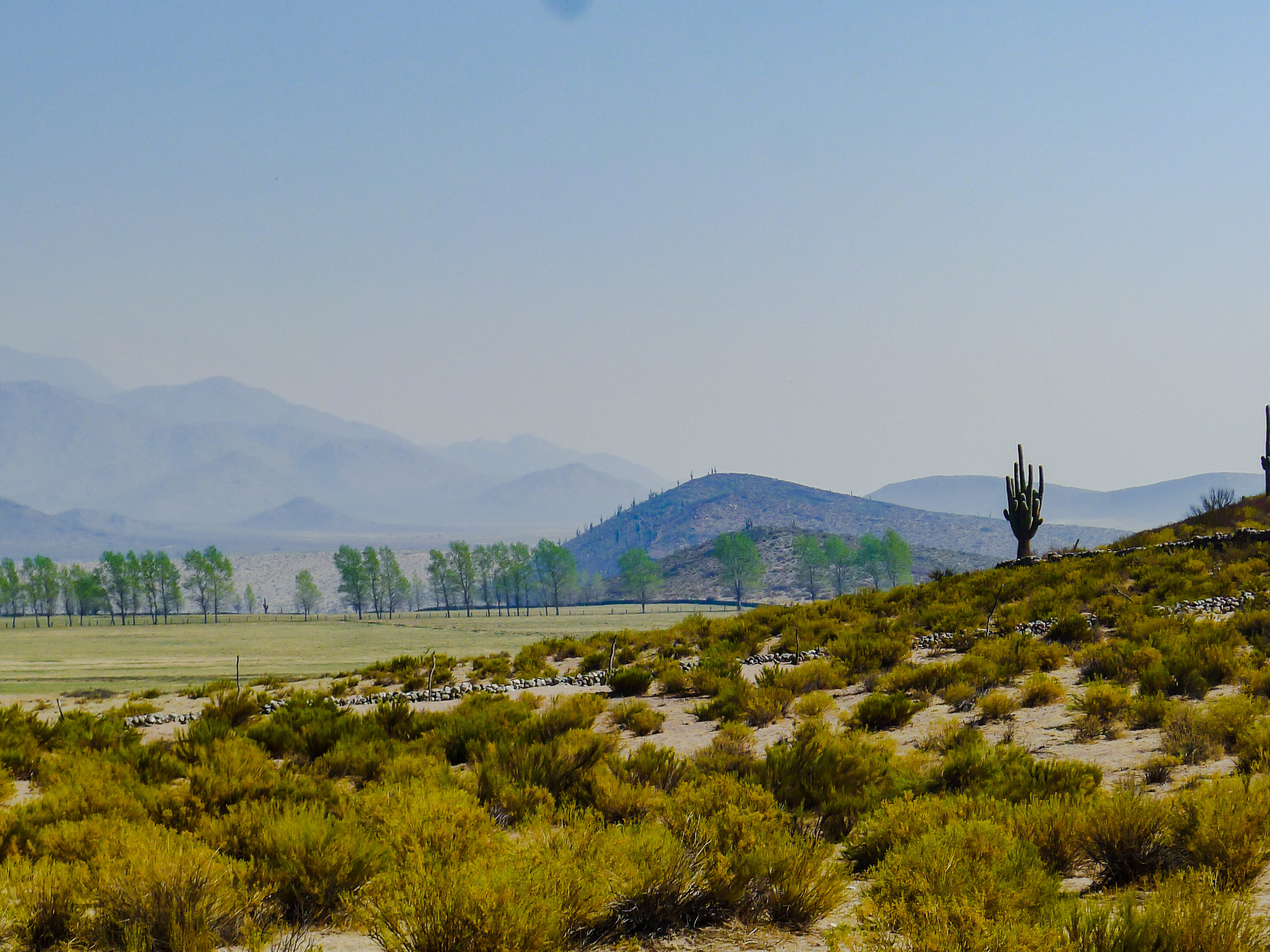 A More Terrifying Enemy on Our Ranch in Argentina