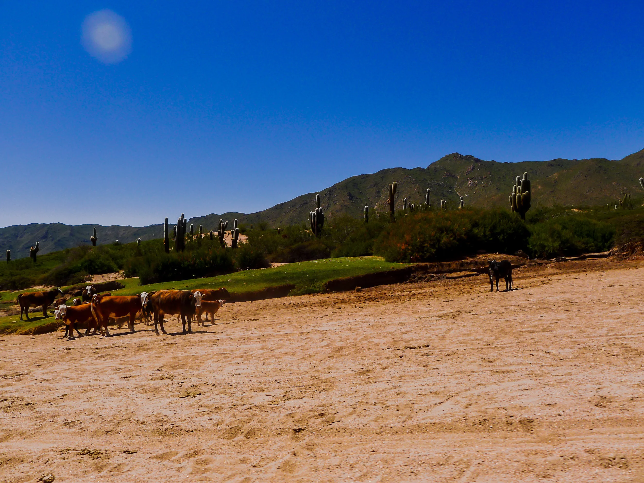 The End of the Road for the Ranch?