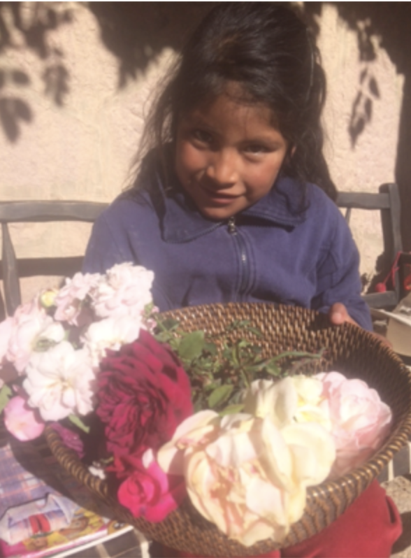 Our Last Day at the Ranch…