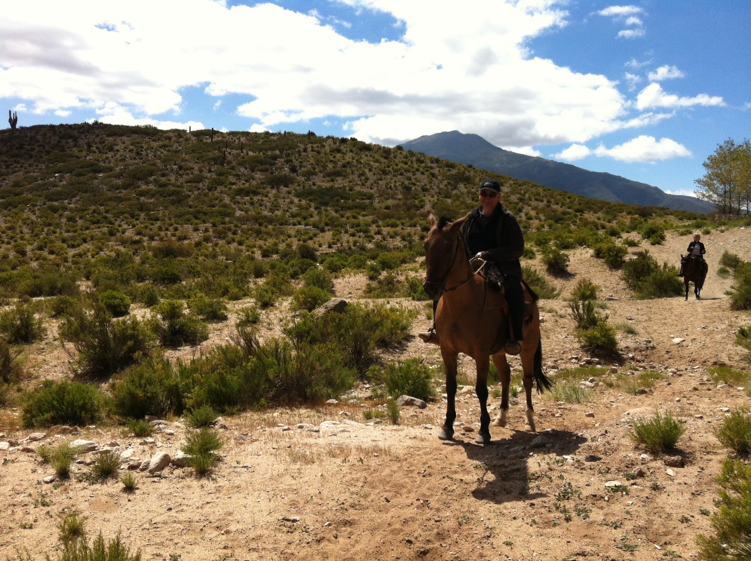 “The Horse Fell Over on Him…”