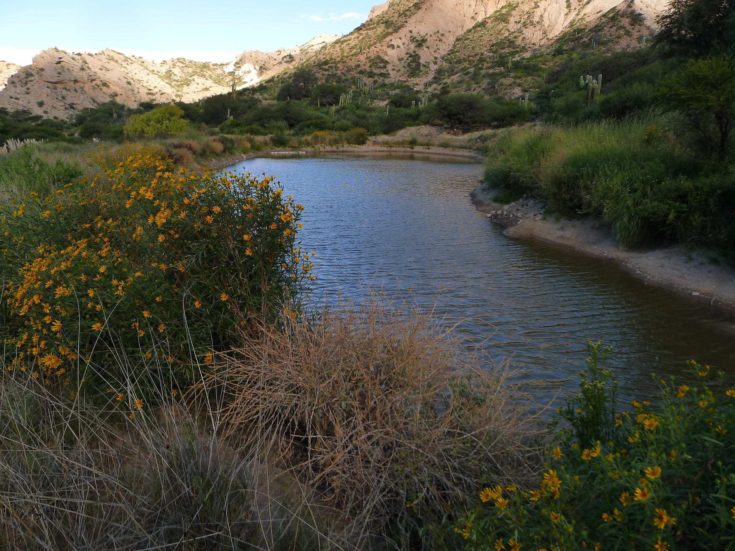 Our Ranch Is Becoming a “Death Valley”