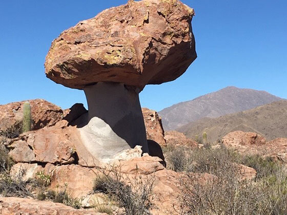 Exploring Ancient Ruins on an Argentinian Mesa