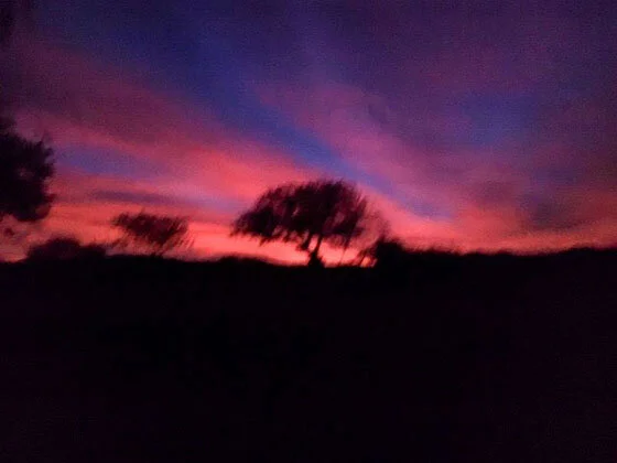 What “Paternalism” Looks Like in the Calchaquí Valley