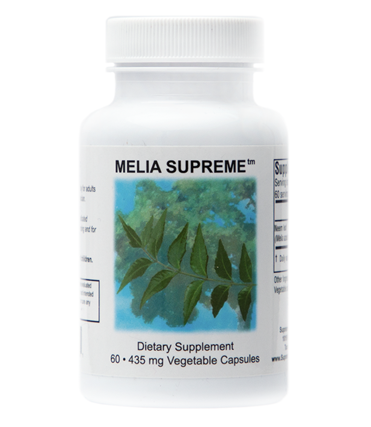 Screenshot 2024-03-18 at 1.43.59 PM.png