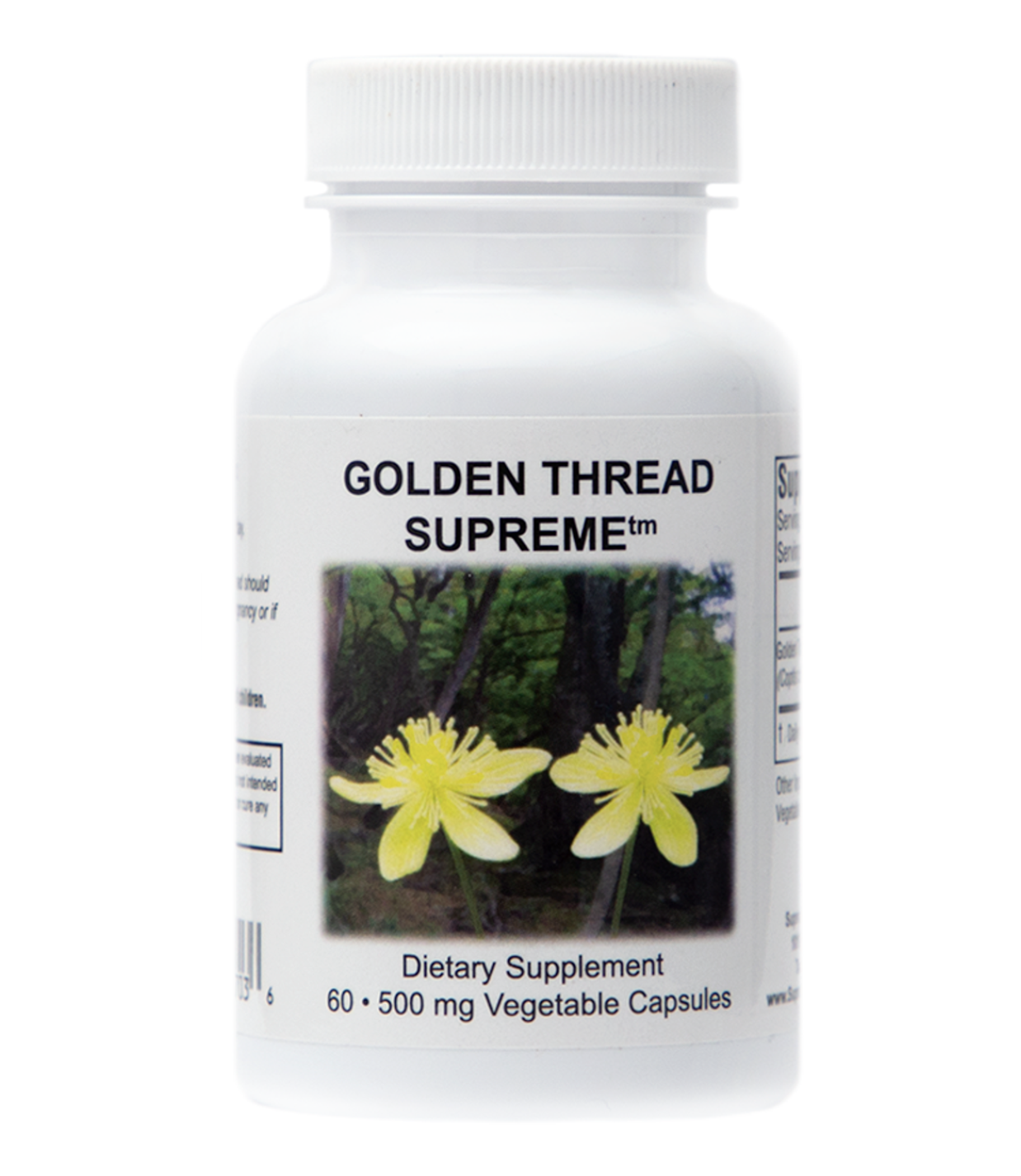 Screenshot 2024-03-18 at 1.43.05 PM.png