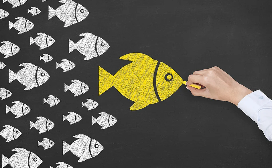 build-a-digital-following-with-the-help-of-influencers.jpg