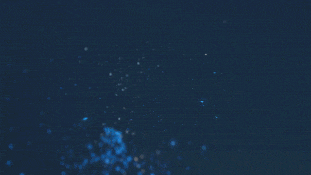 DG_Atom.gif