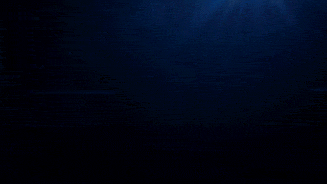 DG_Target.gif