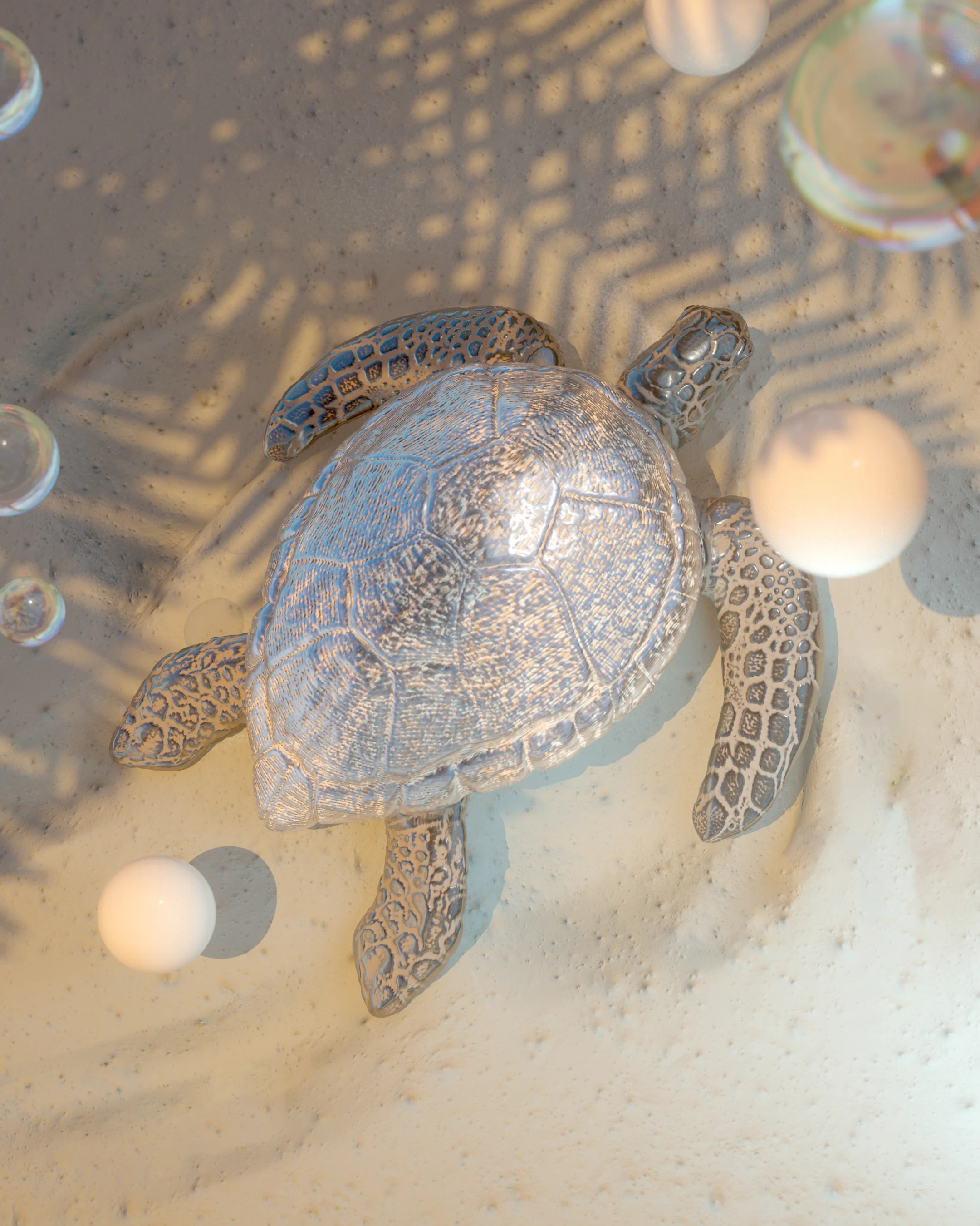 Turt_C.jpg