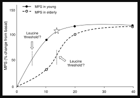 Leucine-Threshold-Graph.png