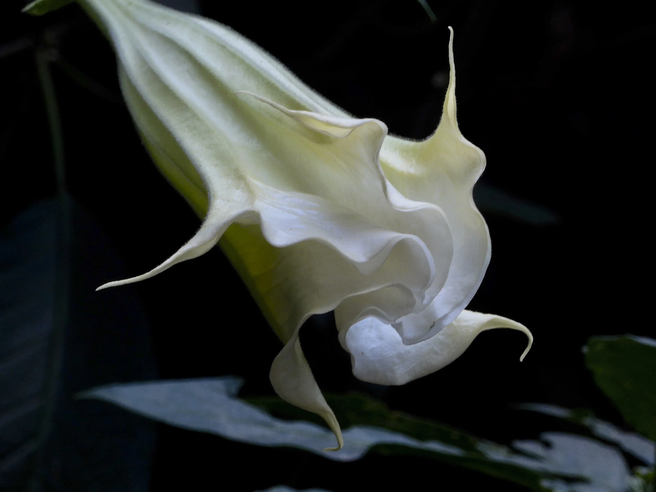 L1000159.jpg