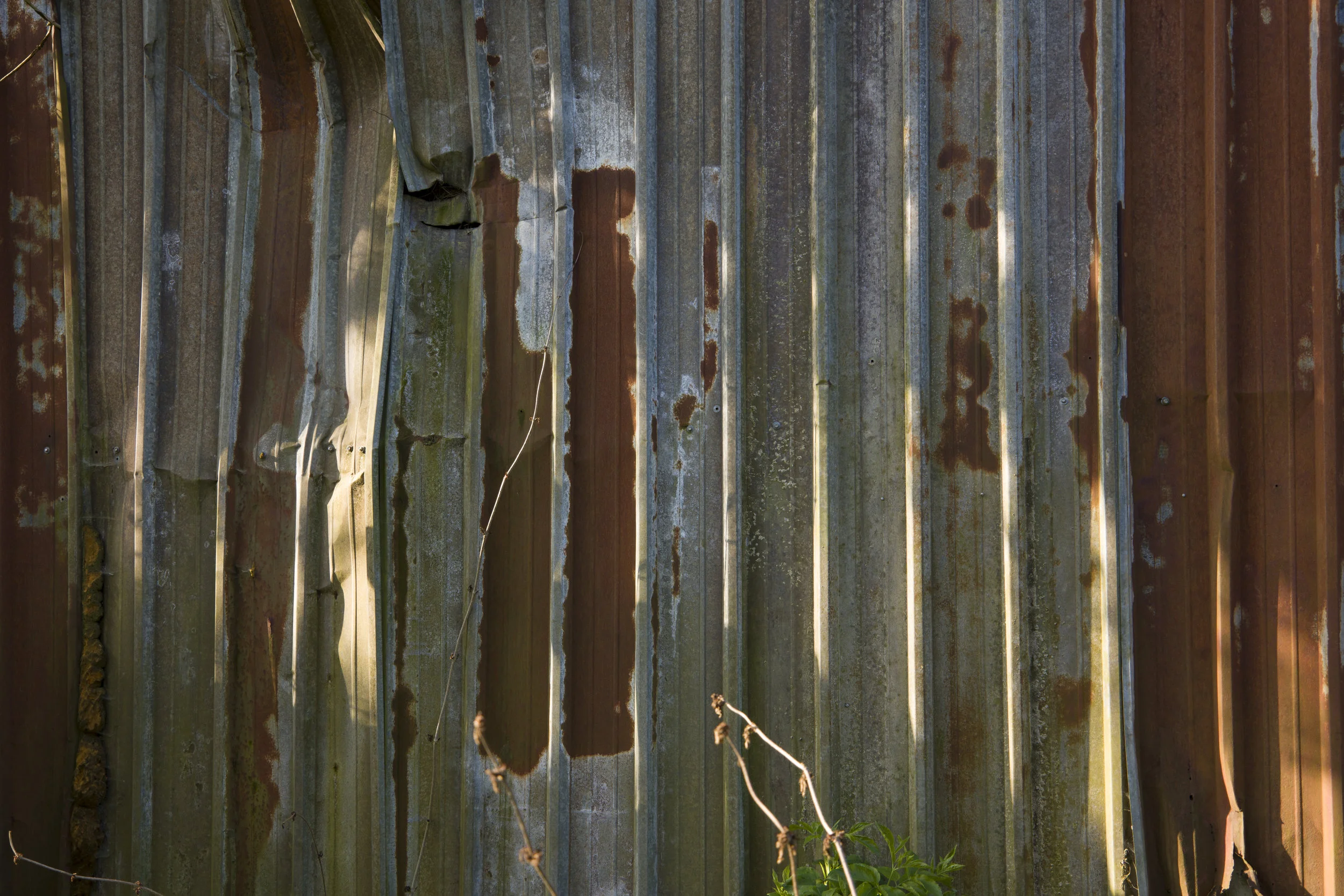 L1000286.jpg