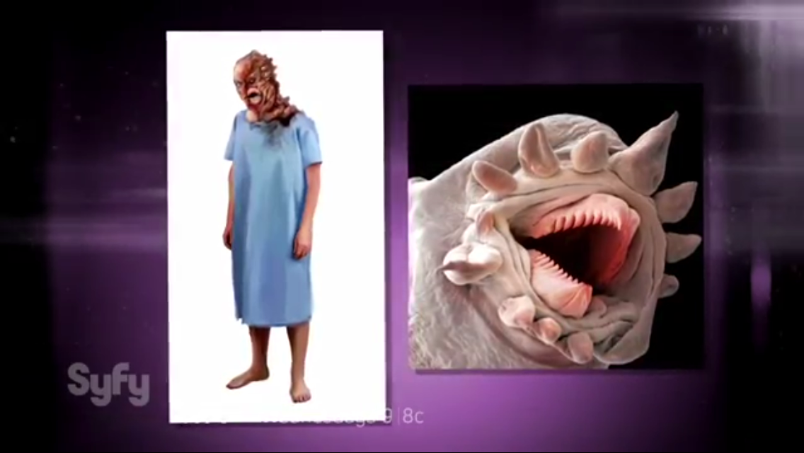 conceptparasite.png