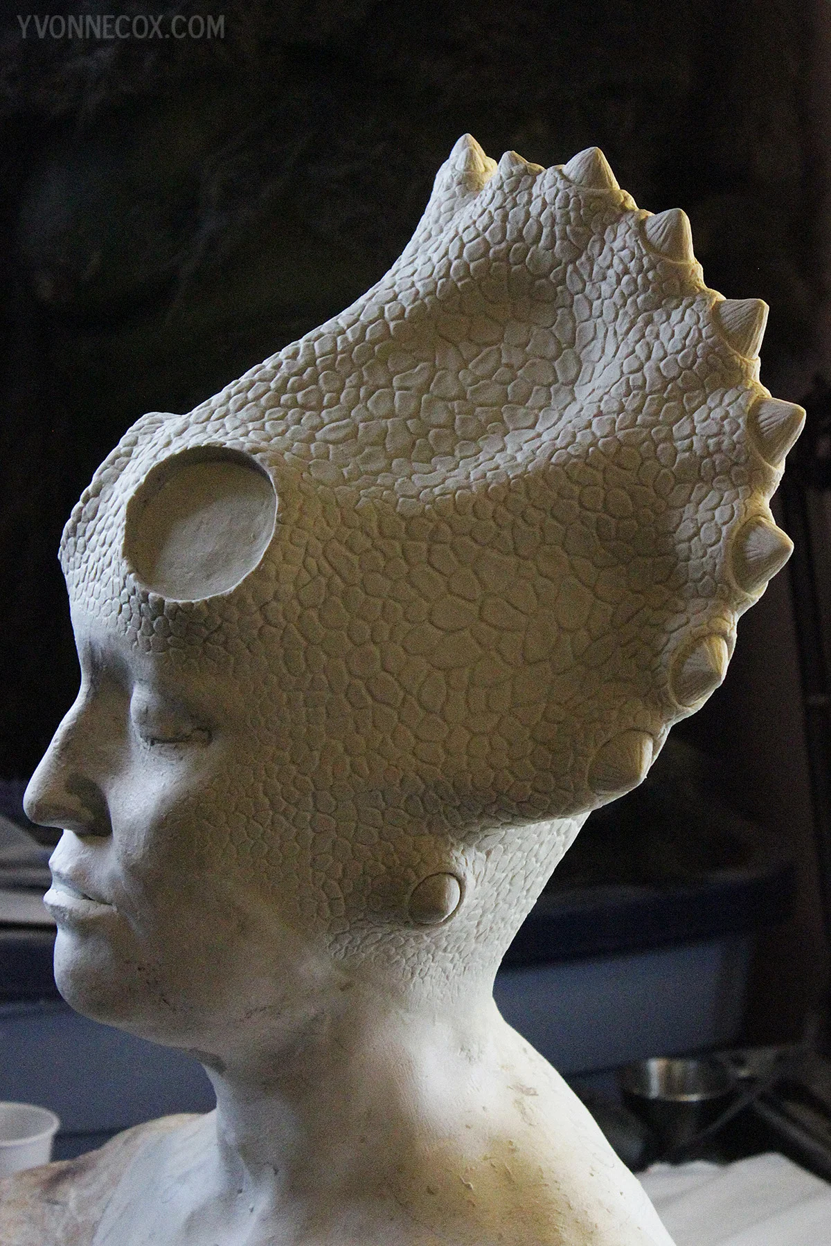 sculpt4rswm.jpg