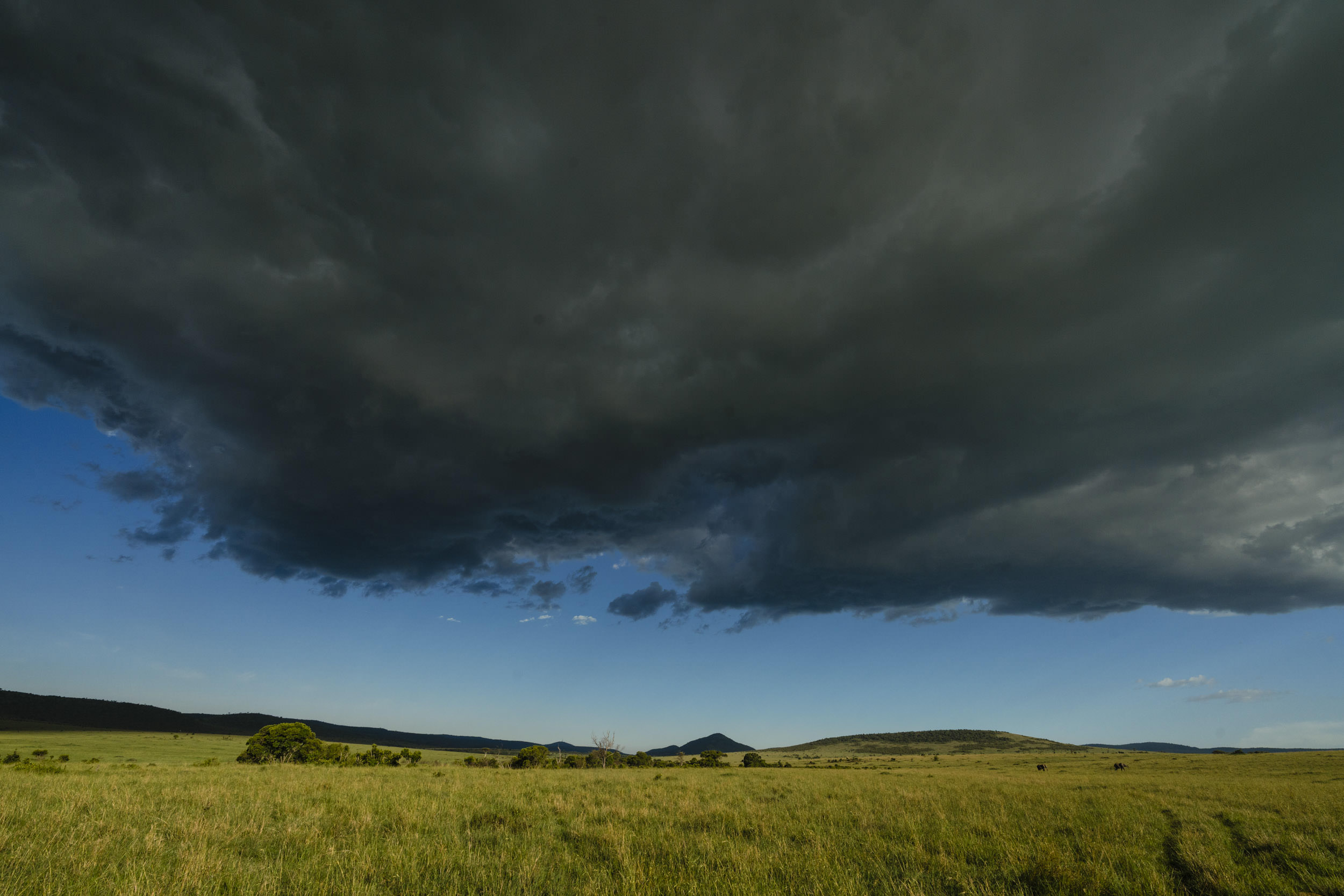 Stormy sky over masai mara.jpg
