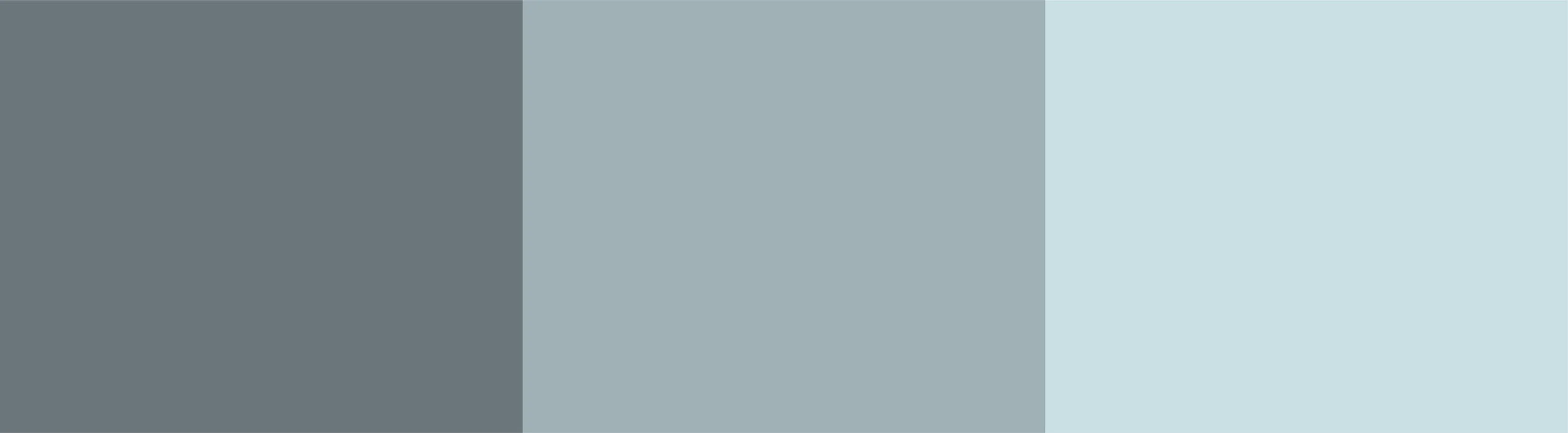 Thin Banner Template-01.jpg