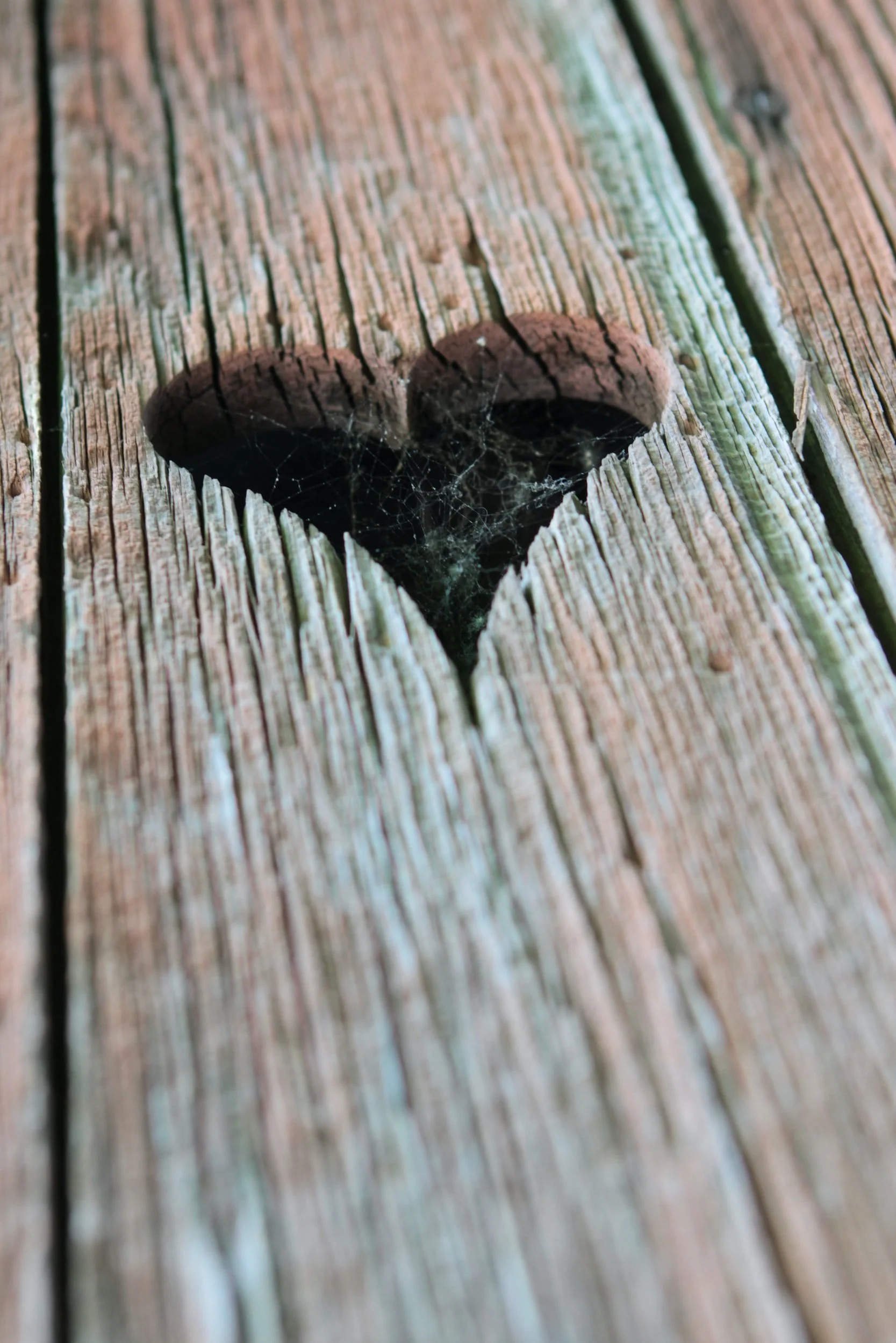 I have a Hole in my Heart (ASD)