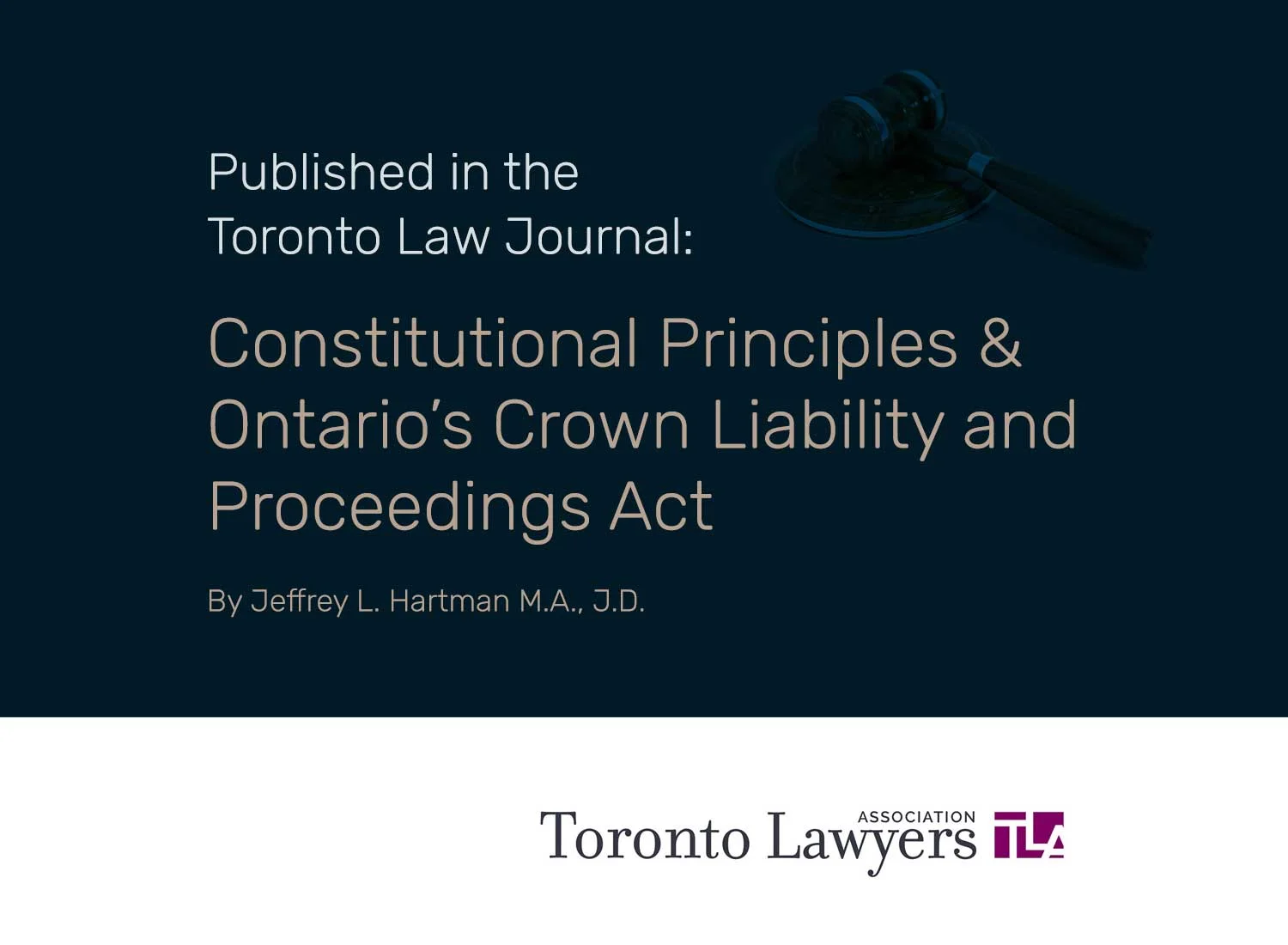 Jeffrey-Hartman-Toronto-Law-Journal-Constitutional-Lawyer.jpg