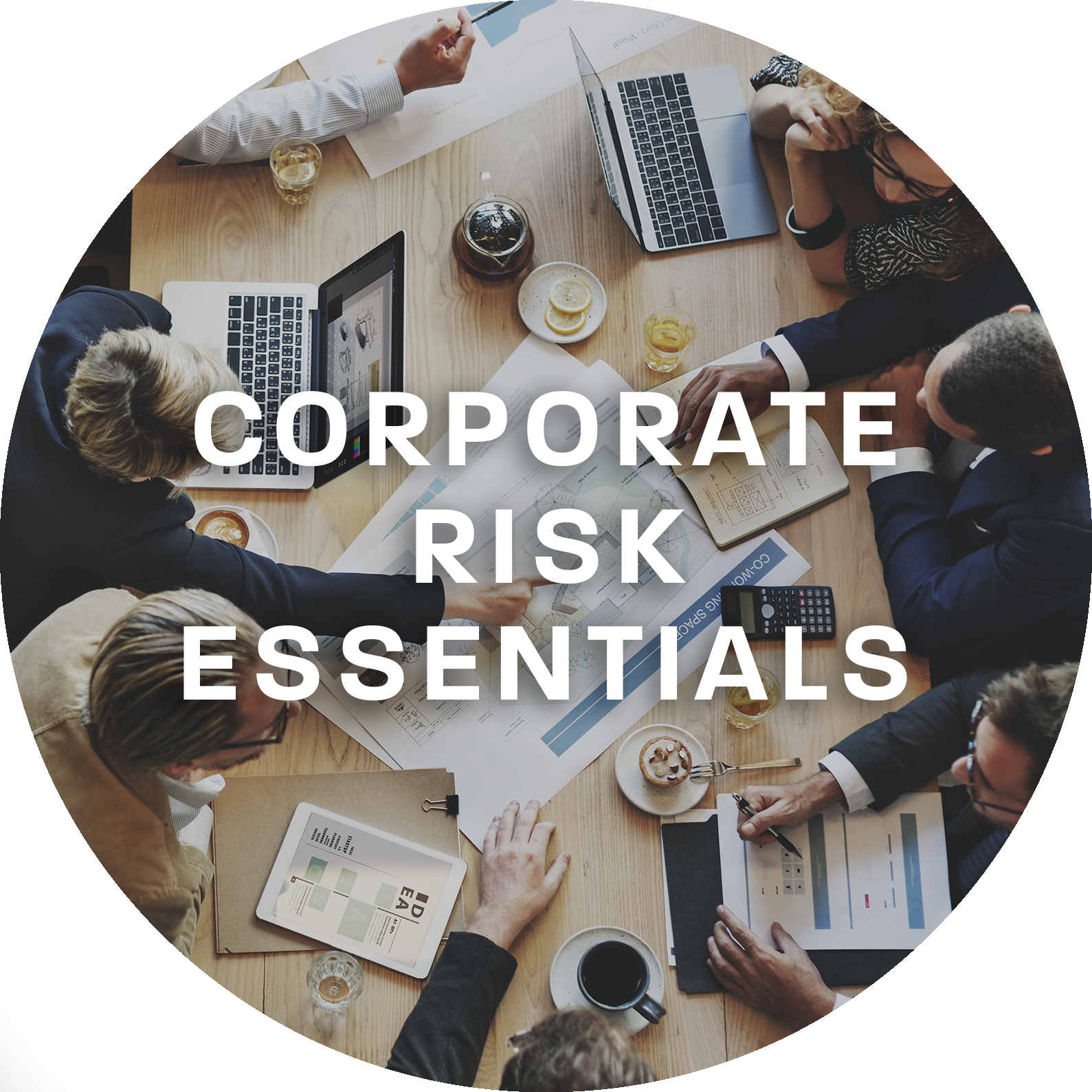 IOSH Corporate Risk Essentials.png