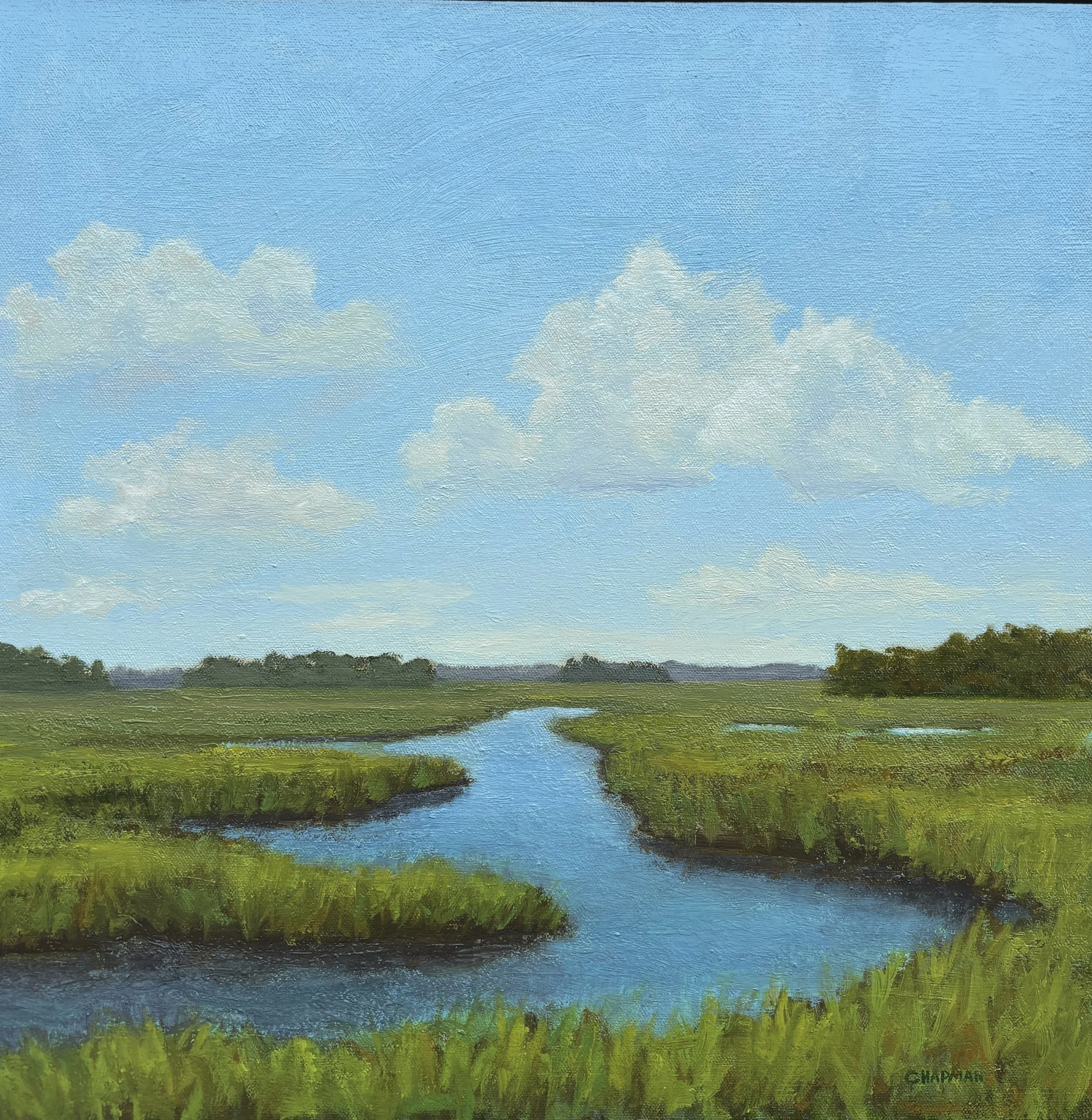 Meandering 20x20.JPG