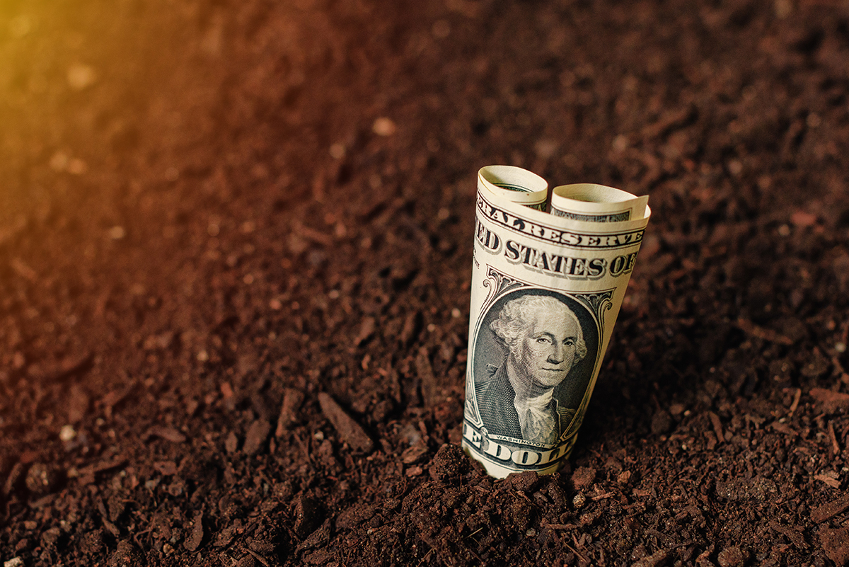 MONEY GROUND.jpg