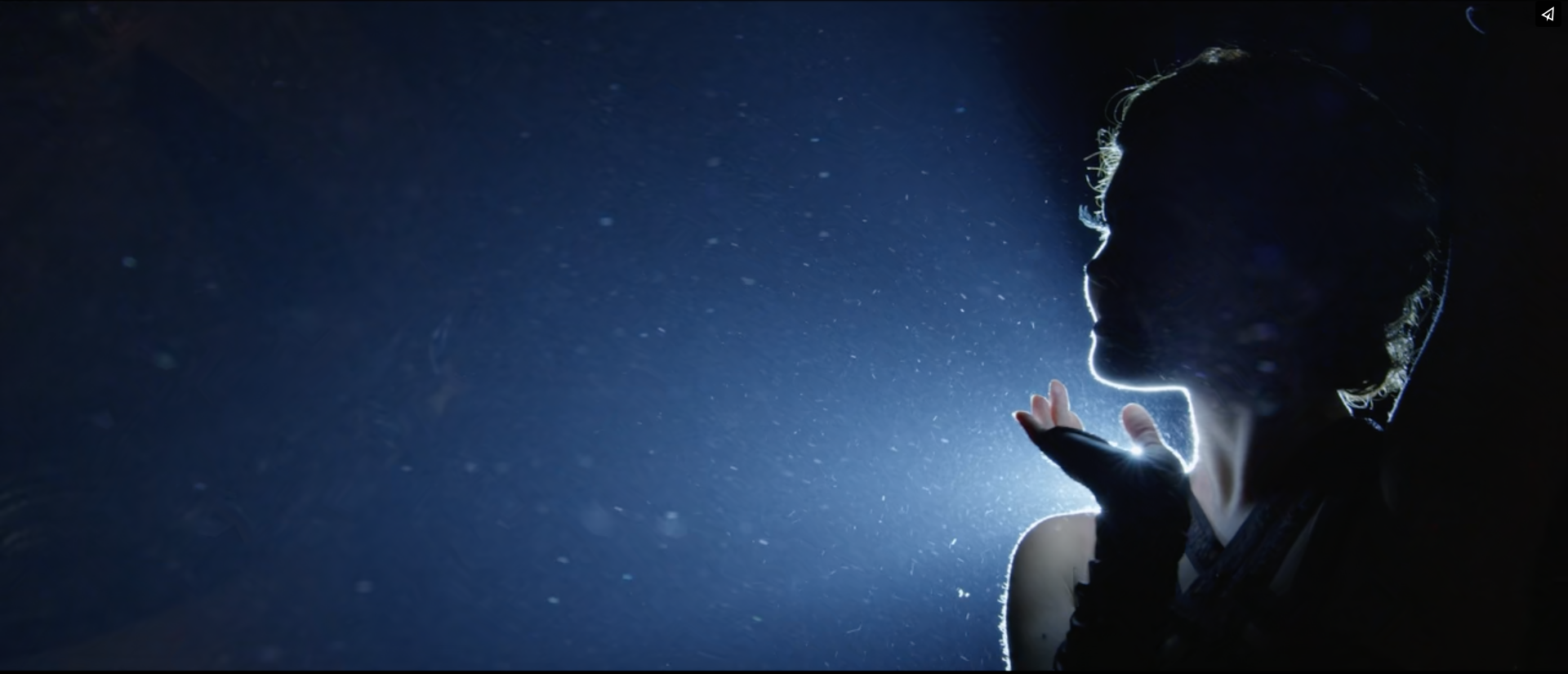 Tiffany & Co. Blue Book Ball