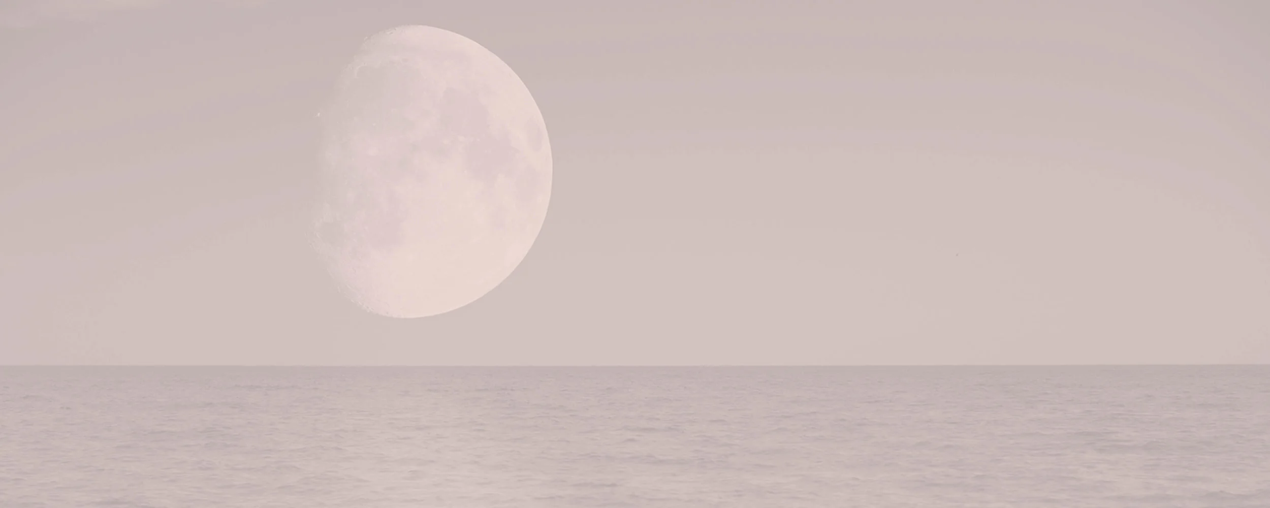 Blog_Banner.jpg