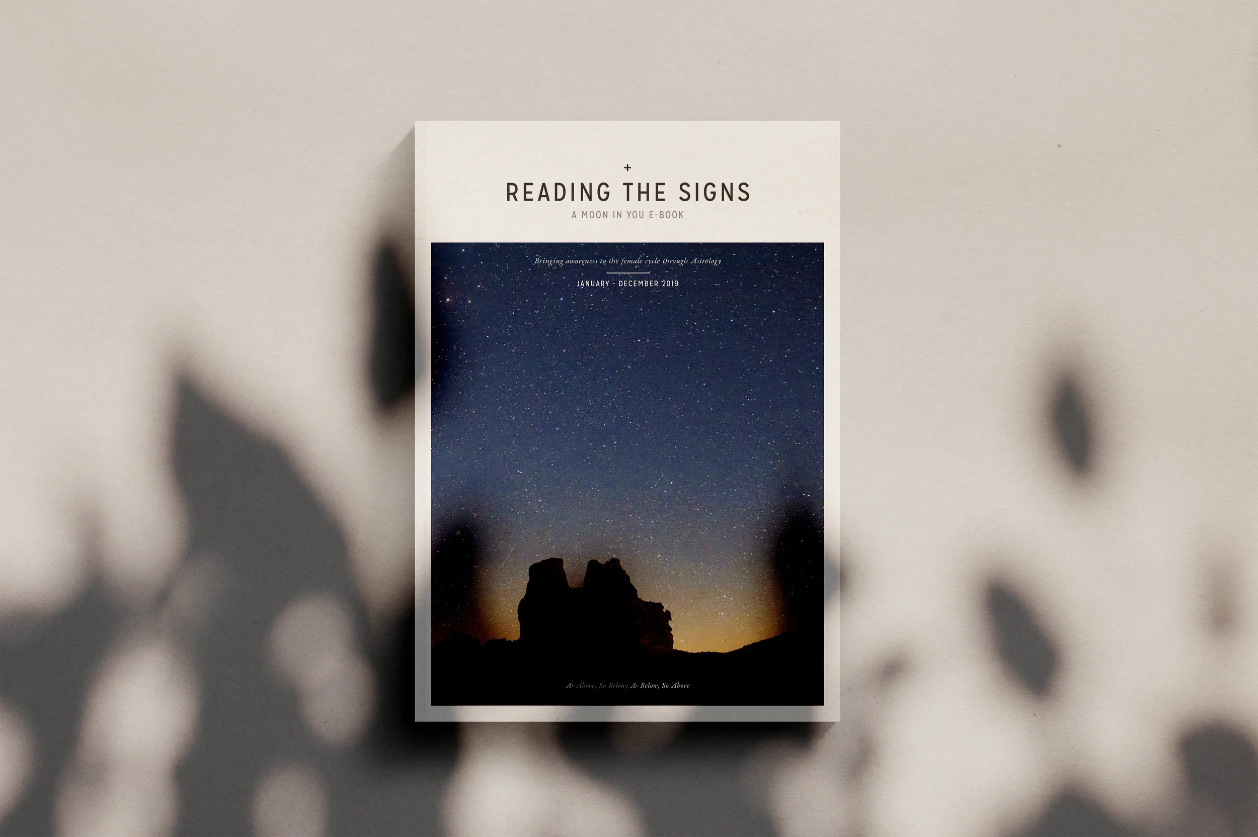 Reading_the_Signs_2_Ochre_Magazine_Mockups.jpg