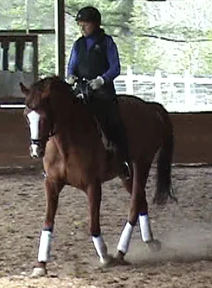Janet riding mare, collected, in arena