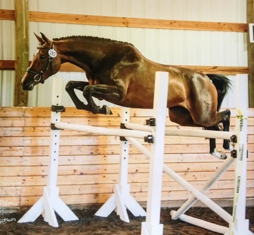 Rhuby_Jumping.jpg