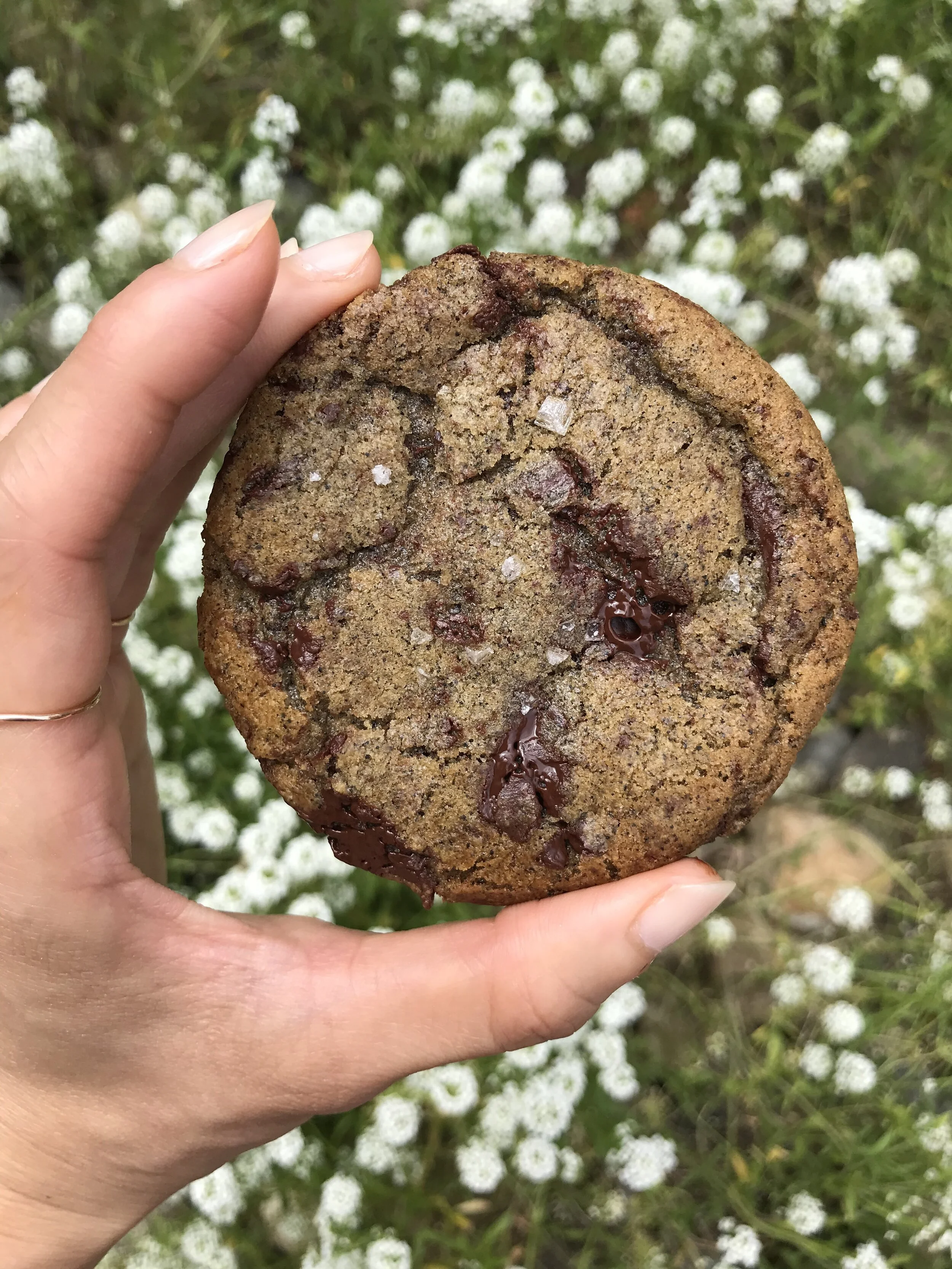 Earl Grey Chocolate Chip