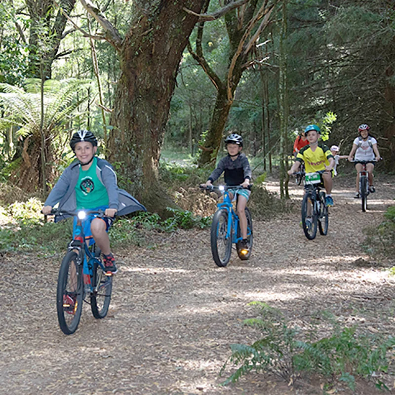 Whangamata Stream Track.jpg