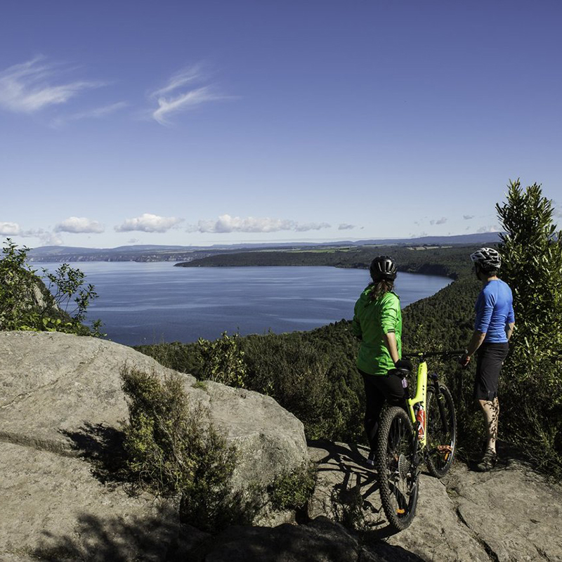 Great Lake Trail Whangamata Bay.jpg