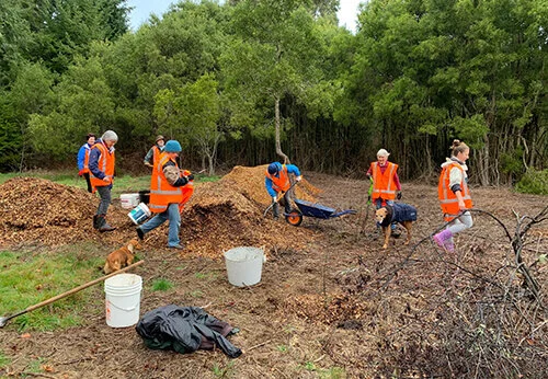 Whangamata Stream Trail Volunteers